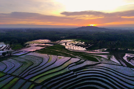 beautiful morning view from Indonesia of mountains and tropical forestの写真素材