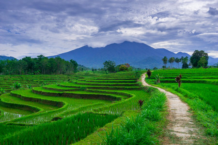 beautiful morning view from Indonesia of mountains and tropical forest