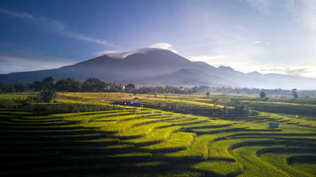 beautiful morning view from Indonesia of mountains and tropical forest