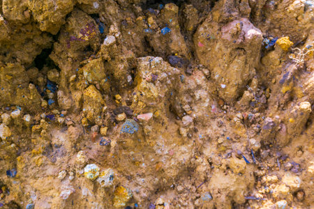 indonesia beauty landscape paddy fields in north bengkulu natural beautiful morning view from Indonesia of mountains and tropical forestの写真素材