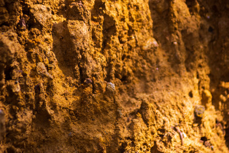 indonesia beauty landscape paddy fields in north bengkulu natural beautiful morning view from Indonesia of mountains and tropical forestの写真素材