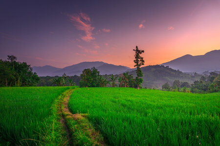 indonesia natural beautiful morning view of mountains and tropical forestの写真素材