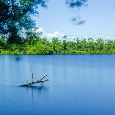Lake in the forest with blue sky and tree in the background.の写真素材