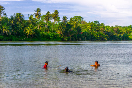 indonesia morning view of mountains and tropical forestの写真素材