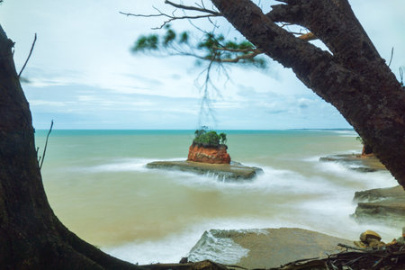 indonesia beauty landscape paddy fields in north bengkulu natural beautiful morning view from Indonesia of mountains and tropical forestの写真素材