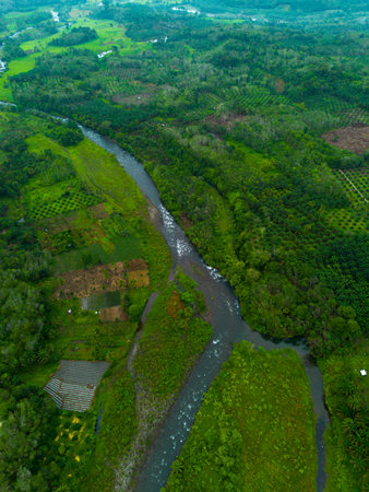 indonesia beauty landscape paddy fields in north bengkulu natural beautiful morning view of...