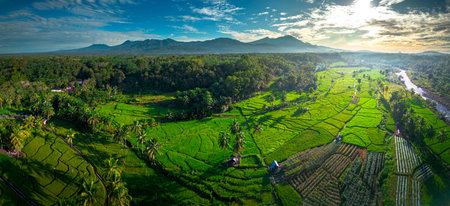 Beautiful morning view indonesia, Panorama Landscape paddy fields with beauty color and sky natural lightの写真素材