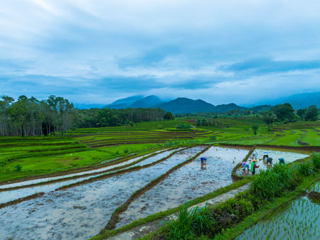 Terraced rice fields.の写真素材