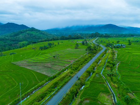 Rice terracesの写真素材