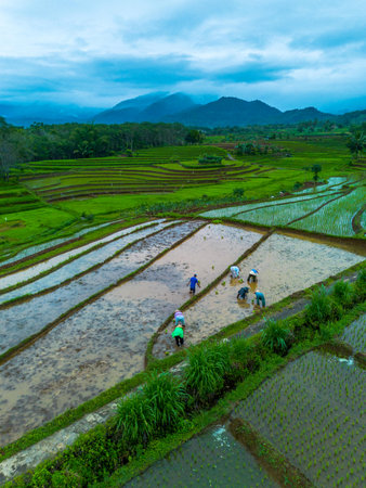 Rice field on terraced of Mu Cang Chai, YenBai, Vietnamの写真素材