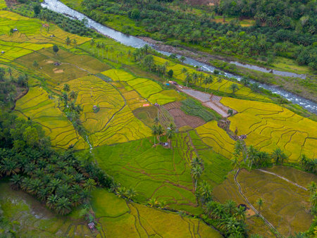 Rice terraces in Sapa, Vietnam. Sapa is a popular tourist destination in Vietnam.