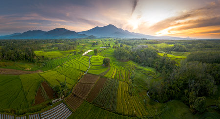 Aerial view of rice terraces at sunset