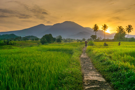 beautiful morning view indonesia panorama landscape beach with beauty color and sky natural light