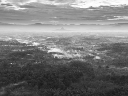 beautiful morning view indonesia panorama landscape with beauty color and sky natural lightの写真素材