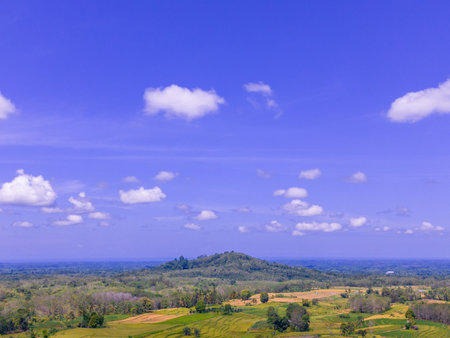 beautiful morning view indonesia panorama landscape paddy fields  with beauty color and sky natural lightの写真素材