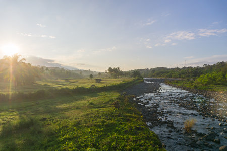 beautiful morning view panorama of indonesia agriculture industry rice fields with beautiful sky colors natural lightの写真素材