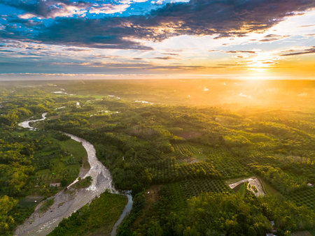 beautiful morning view panorama of agriculture industry rice fields with beautiful sky colors natural lightの写真素材