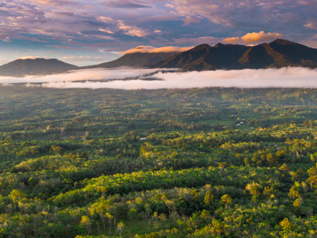 beautiful morning view panorama of indonesia agriculture rice fields with beautiful sky colors natural lightの写真素材