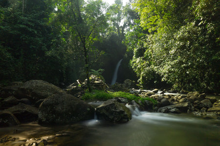 Natural Beauty of Tropical Green Forests with Mountains and Waterfallsの写真素材