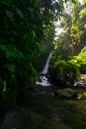 Natural Beauty of Tropical Green Forests with Waterfalls in Indonesiaの写真素材