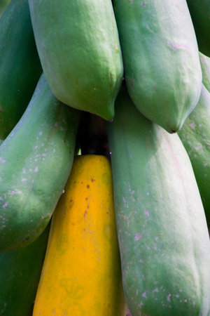 Nature canvas painted in hues of tranquilityの写真素材