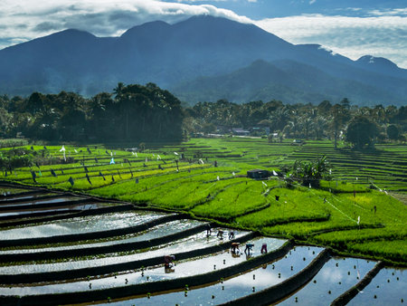 beautiful morning view indonesia panorama landscape beach with beauty color and sky natural lightの写真素材