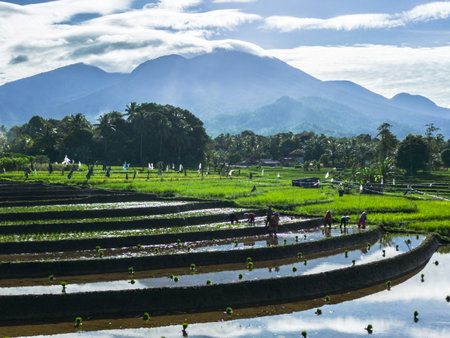 beautiful morning view panorama landscape with beauty color and sky natural lightの写真素材