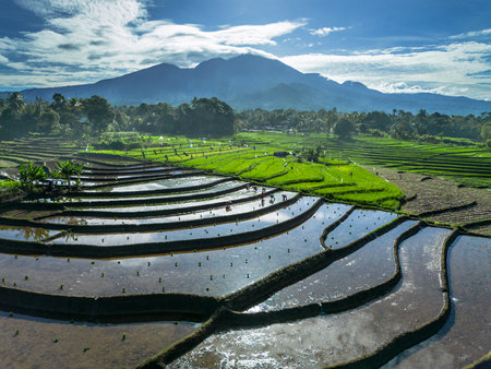 beautiful morning view indonesia panorama landscape beach with beauty color and sky natural light