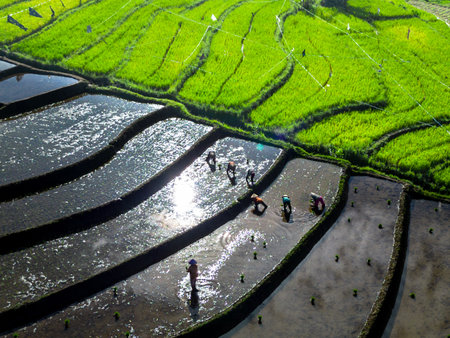 beautiful morning view indonesia panorama landscape with beauty color and sky natural lightの写真素材