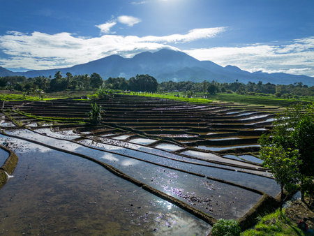 beautiful morning view indonesia panorama landscape with beauty color and sky natural lightの写真素材