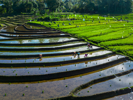beautiful morning view indonesia panorama landscape with beauty color and sky natural lightの写真素材