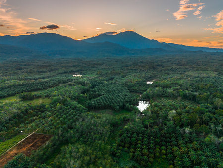 beautiful morning view indonesia panorama landscape with beauty color and sky natural lightの写真素材