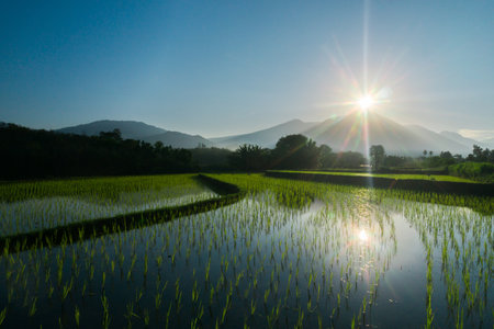 beautiful morning view indonesia panorama landscape with beauty color and sky natural lightの写真素材