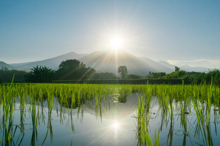 beautiful morning view indonesia panorama landscape beach with beauty color and sky natural lightの写真素材