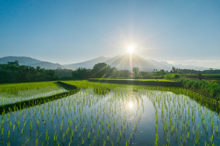 beautiful morning view indonesia panorama landscape with beauty color and sky natural lightの写真素材