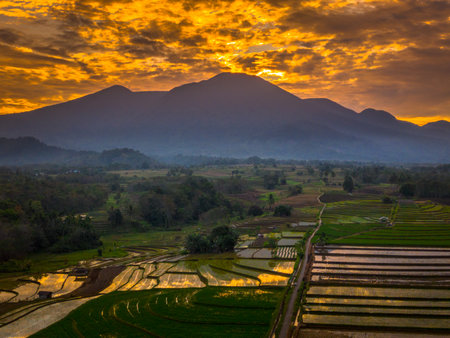 Beautiful morning view indonesia panorama landscape paddy fields with beauty color and sky natural lightの写真素材