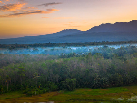 Beautiful morning view indonesia panorama landscape paddy fields with beauty color and sky natural lightの写真素材