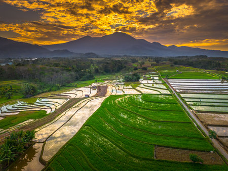Beautiful morning view indonesia panorama landscape paddy fields with beauty color and sky natural lightの写真素材
