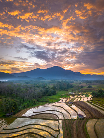 Beautiful morning view indonesia panorama landscape paddy fields with beauty color and sky natural lightの写真素材
