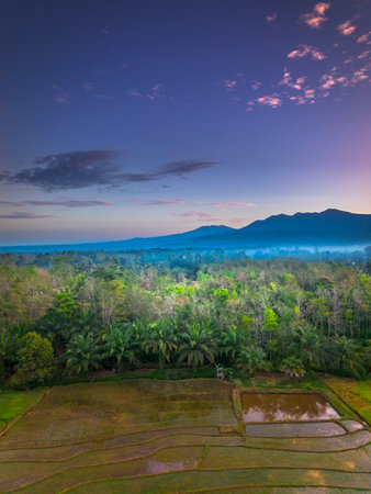Beautiful morning view indonesia panorama landscape paddy fields with beauty color and sky natural lightの写真素材