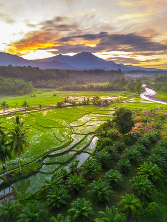 Beautiful morning view indonesia panorama landscape paddy fields with beauty color and sky natural lightの写真素材