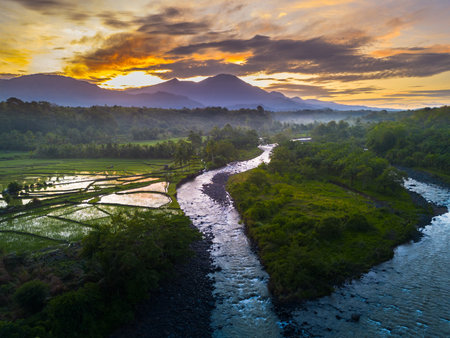 Beautiful morning view indonesia panorama landscape paddy fields with beauty color and sky natural...