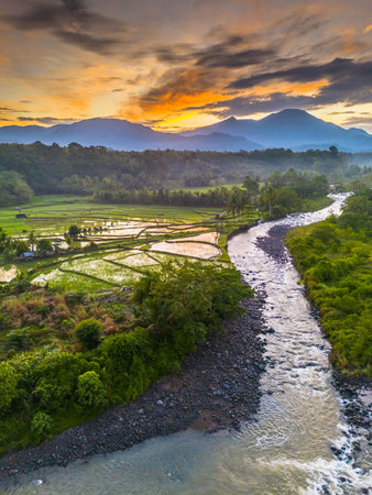 Beautiful morning view indonesia panorama landscape paddy fields with beauty color and sky natural lightの写真素材
