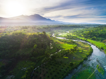 Beautiful morning view indonesia panorama landscape paddy fields with beauty color and sky natural lightの写真素材
