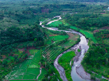Beautiful morning view indonesia panorama landscape paddy fields with beauty color and sky natural lightの写真素材