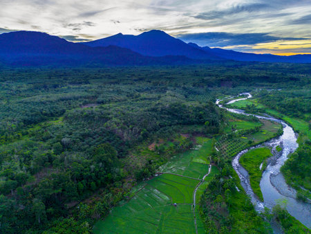 Beautiful morning view indonesia panorama landscape paddy fields with beauty color and sky natural lightの写真素材