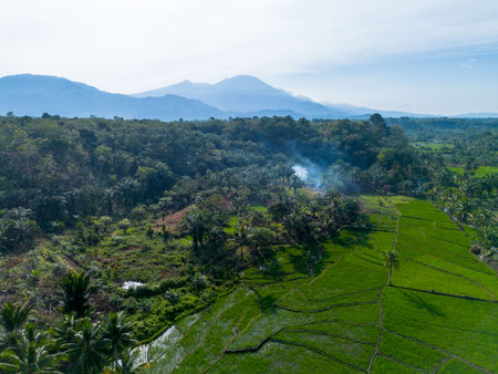 Beautiful morning view indonesia panorama landscape paddy fields with beauty color and sky natural lightの写真素材