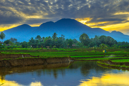 Beautiful morning view indonesia panorama landscape paddy fields with beauty color and sky natural...