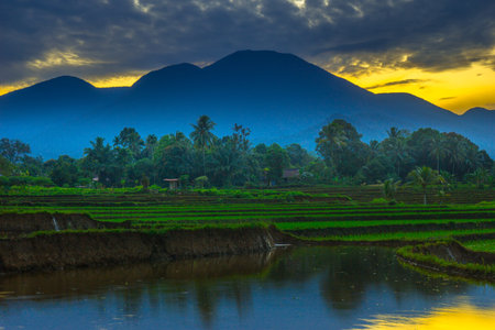 Beautiful morning view indonesia panorama landscape paddy fields with beauty color and sky natural lightの写真素材