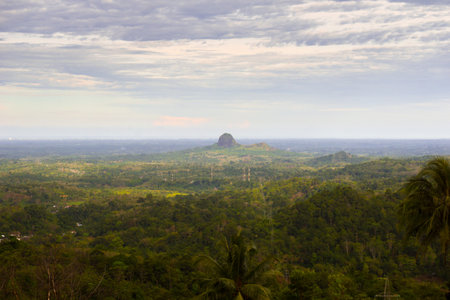 the beauty of Indonesia with mangrove forests and beaches at sunsetの写真素材